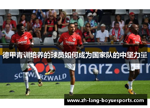 德甲青训培养的球员如何成为国家队的中坚力量 德甲青训培养的球员如何成为国家队的中坚力量