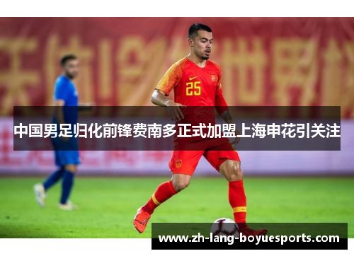 中国男足归化前锋费南多正式加盟上海申花引关注
