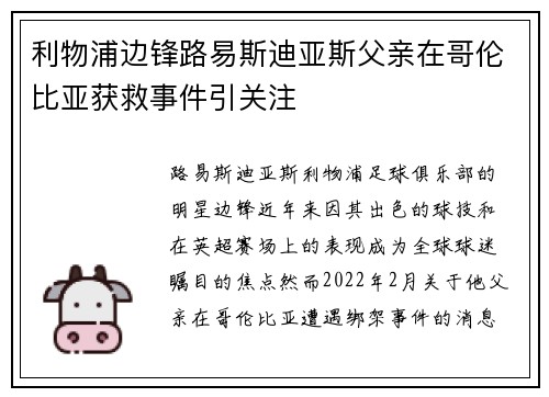 利物浦边锋路易斯迪亚斯父亲在哥伦比亚获救事件引关注